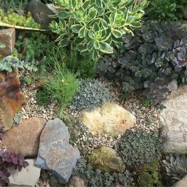 Ornamental garden stones, rocky beige-medium size