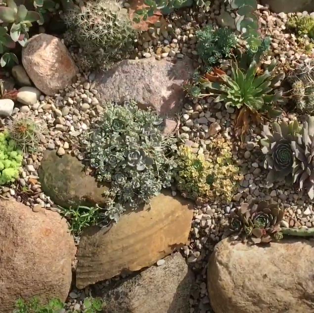 The rock garden - Garden styles - Characteristics of the rock garden
